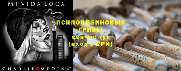 мяу мяу мука Алексин