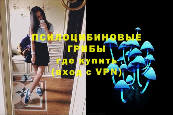 мяу мяу мука Алексин