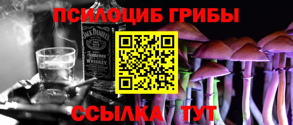 Псилоцибиновые грибы мухоморы  Вход с VPN  Электрогорск 